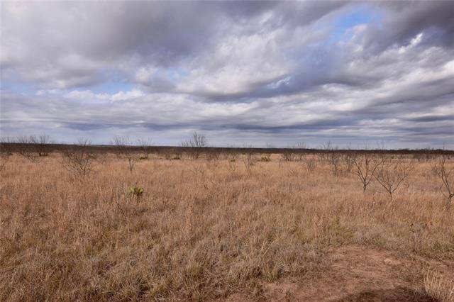 Santa Anna, TX 76878,1050 County Road 258