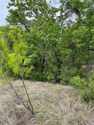 Runaway Bay, TX 76426,Lot 103 Ash Court