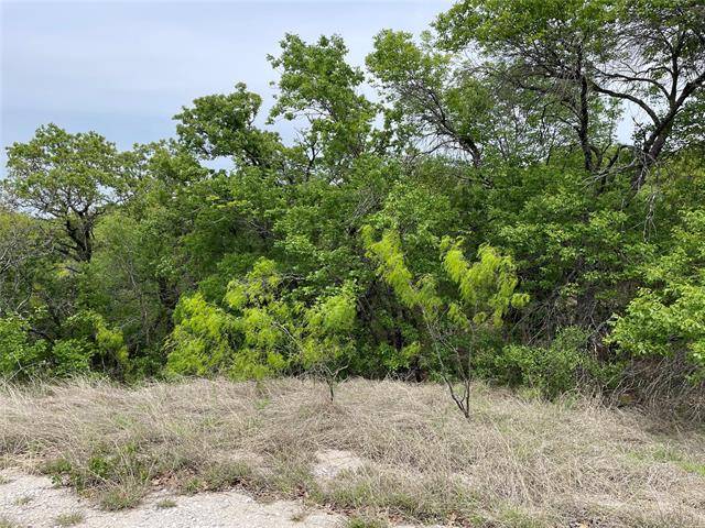 Runaway Bay, TX 76426,Lot 103 Ash Court