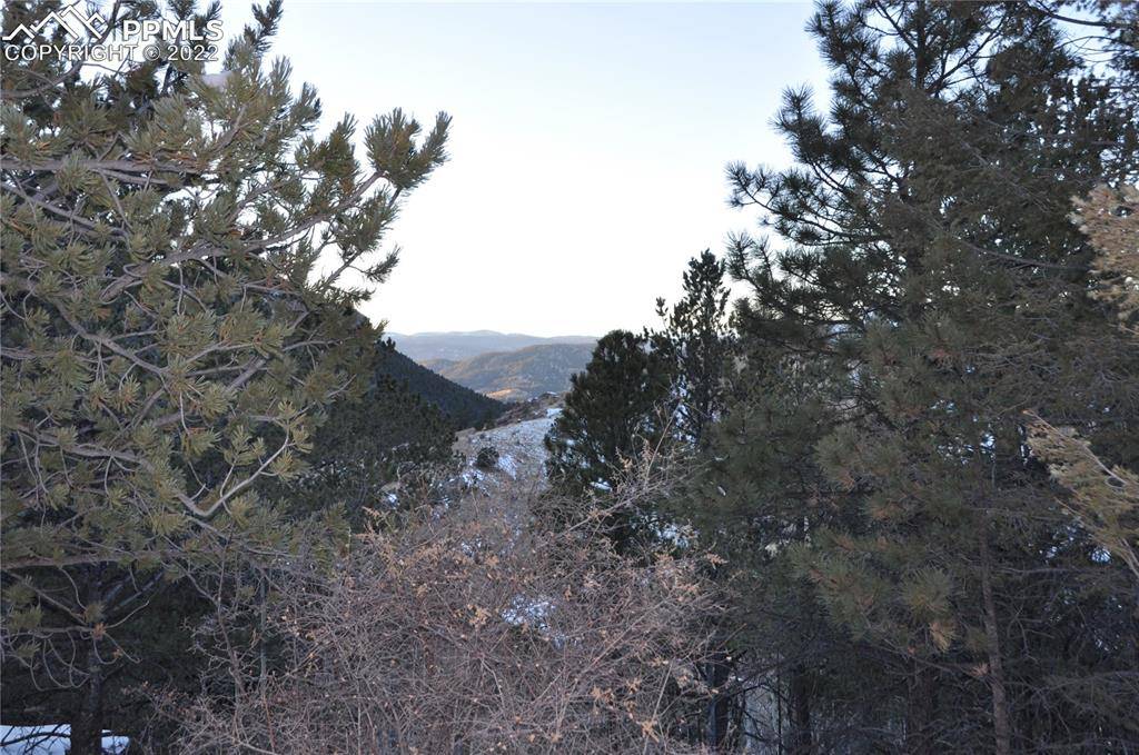 Cripple Creek, CO 80813,513 Last Dollar DR