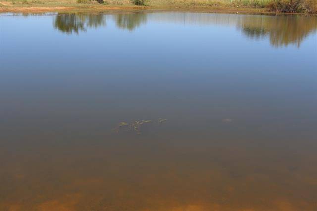 Bangs, TX 76823,100 County Road 173