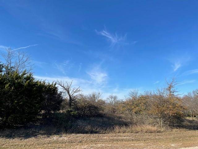 Hudson Oaks, TX 76087,000 Canyon Trail