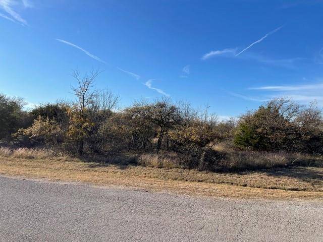 Hudson Oaks, TX 76087,000 Canyon Trail