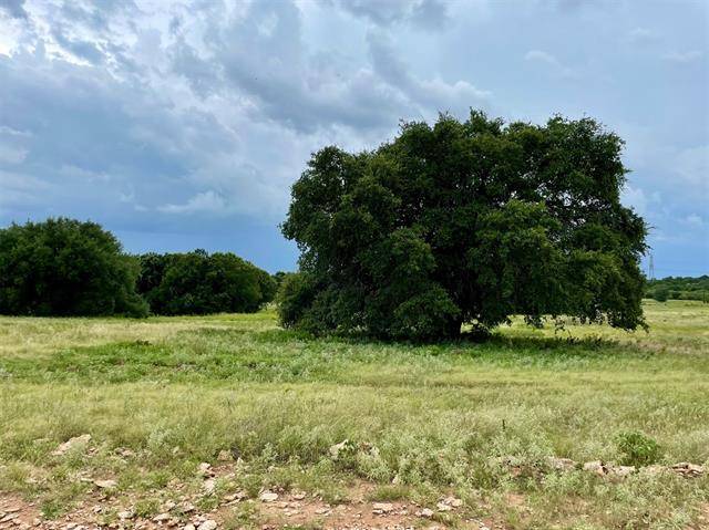 Weatherford, TX 76087,Lot 46 Greene Road