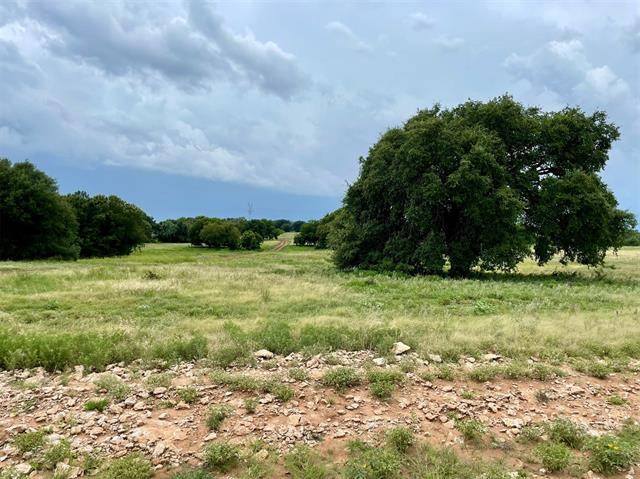 Weatherford, TX 76087,Lot 46 Greene Road