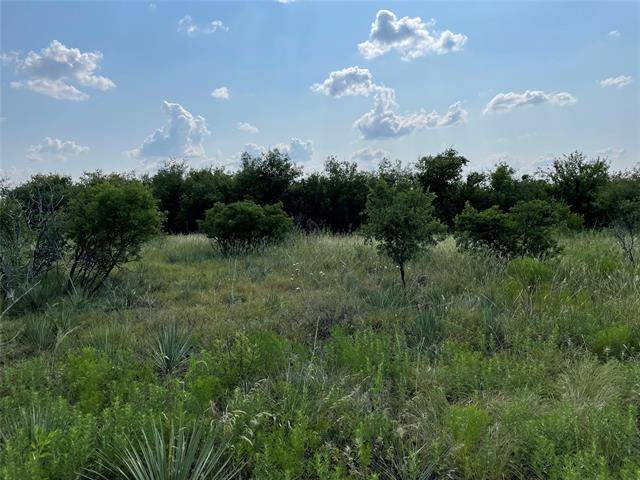 Hawley, TX 79525,Tract 3 605