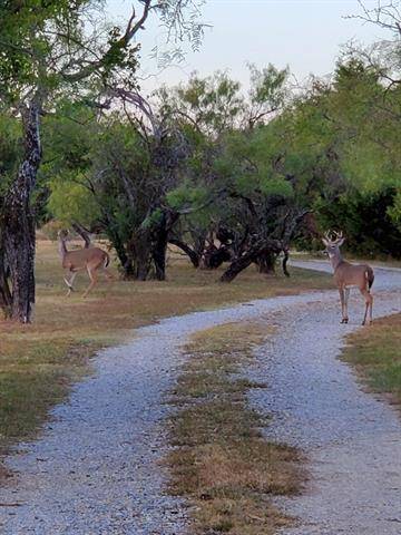 Early, TX 76802,5609 CR 614 Road