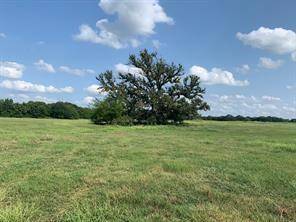 Saltillo, TX 75471,Tract G Farm Road 269