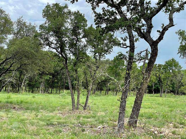 Weatherford, TX 76087,Lot 59 Greene Road