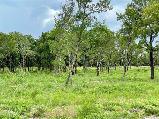 Weatherford, TX 76087,Lot 60 Greene Road