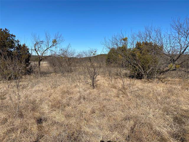 Graford, TX 76449,Lot1043 Frog Branch