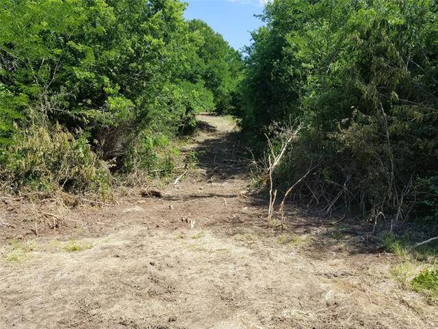 Bells, TX 75414,6.5 Ac Pecan Highway #69