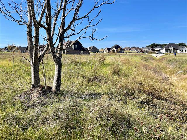 Granbury, TX 76049,580 Lydia Lane