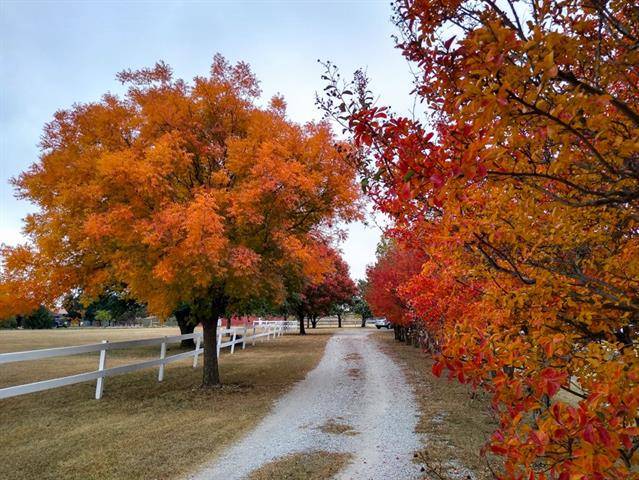 Haslet, TX 76052,2209 Virginia Lane