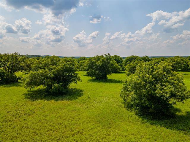 Mingus, TX 76401,TBD County Road 109 #1