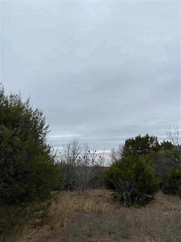 Cresson, TX 76035,TBD Overlook Ct.