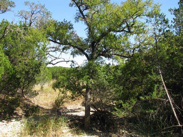 Evant, TX 76525,TBD Indian Creek Road