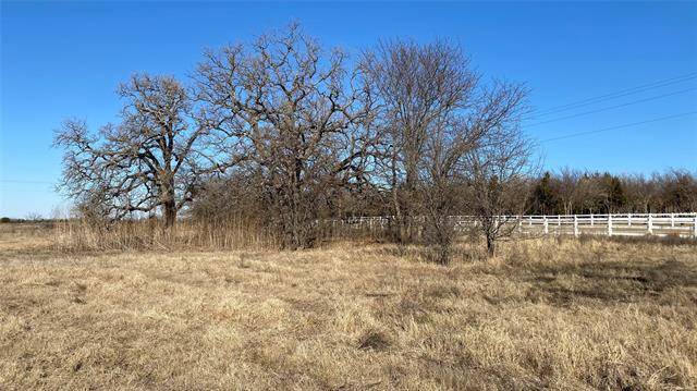 Whitesboro, TX 76273,Lot 41 County Rd 1255