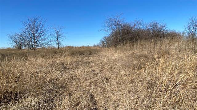 Whitesboro, TX 76273,Lot 41 County Rd 1255