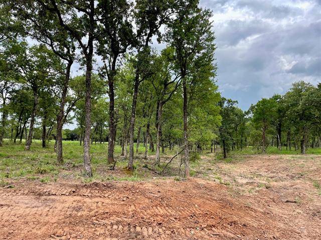 Weatherford, TX 76087,Lot 53 Greene Road