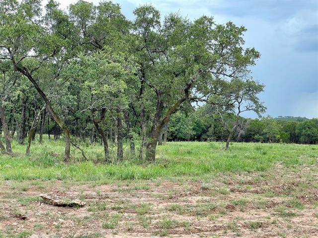 Weatherford, TX 76087,Lot 55 Greene Road