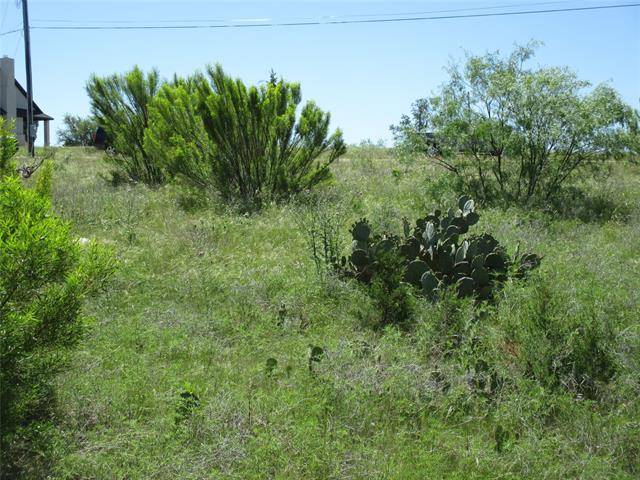 Possum Kingdom Lake, TX 76449,425 Turnberry Loop