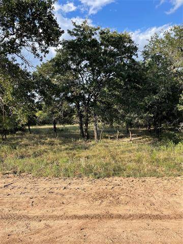 Brock, TX 76087,409 Red Roan Ridge