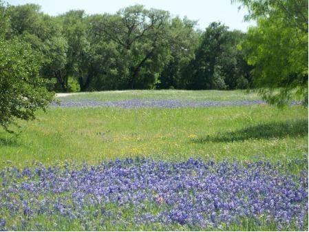 Whitney, TX 76692,35005 Shadywood Lane