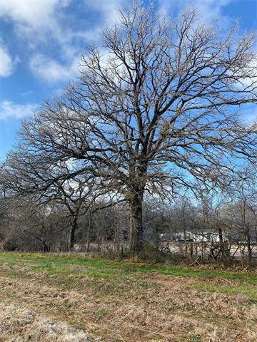 Saltillo, TX 75471,Lot 18 Farm Road 269 S