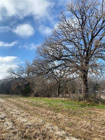 Saltillo, TX 75471,Lot 18 Farm Road 269 S