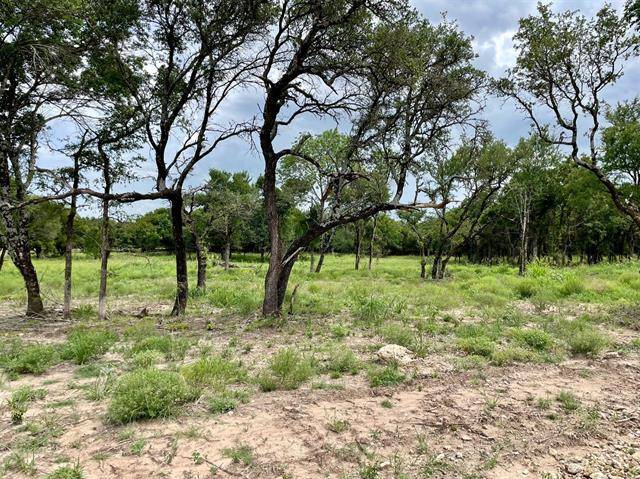 Weatherford, TX 76087,Lot 62 Greene Road