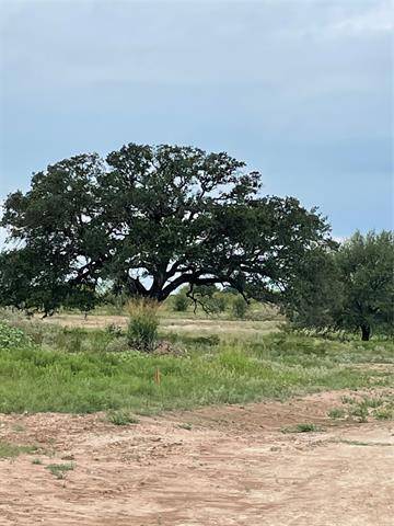 Brock, TX 76087,101 Tobiano Trace