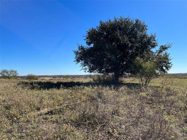 Comanche, TX 76442,Tract 3 CR 102