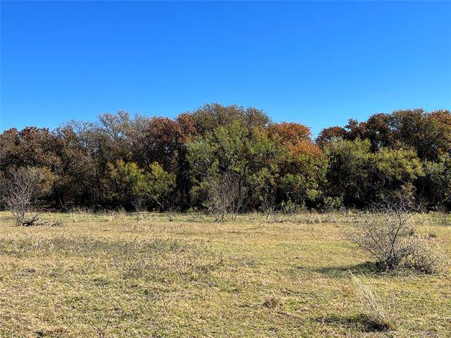 Comanche, TX 76442,Tract 3 CR 102