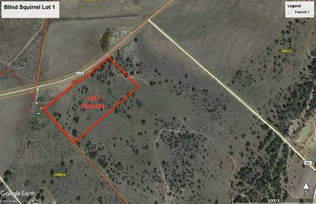 Brownwood, TX 76801,Lot 1 County Road 202