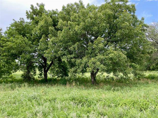 Weatherford, TX 76087,Lot 68 Greene Road