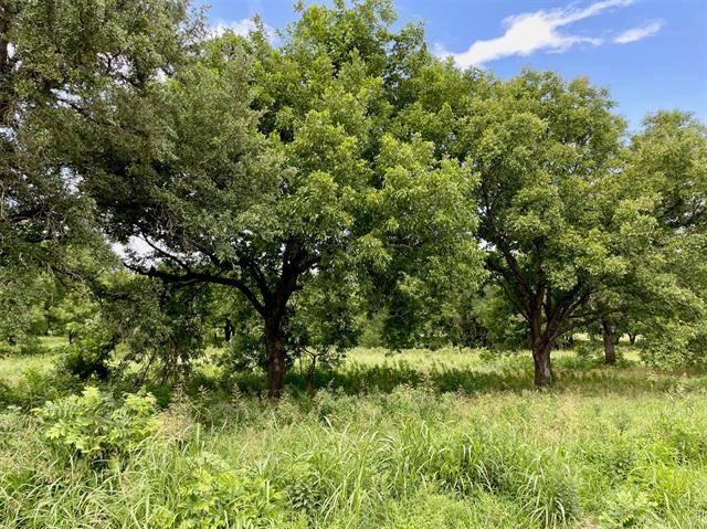 Weatherford, TX 76087,Lot 68 Greene Road