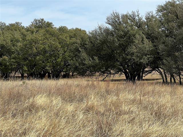 Comanche, TX 76442,Lot 142 Comanche Lake Road