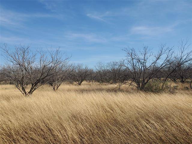 Gouldbusk, TX 76845,1052 County Road 304