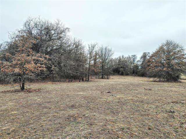 Boyd, TX 76023,TBD County Road 4790