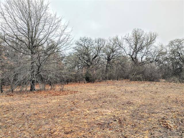 Boyd, TX 76023,TBD County Road 4790