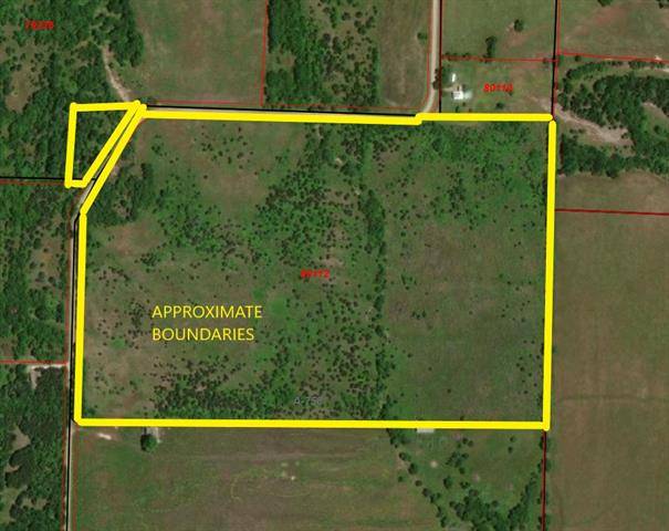 Honey Grove, TX 75446,TBD County Rd 3425