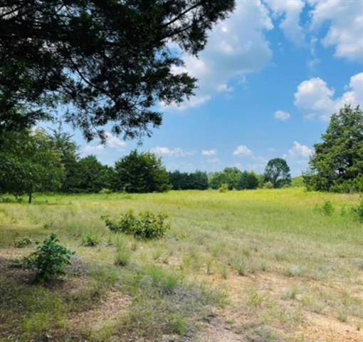 Quitman, TX 75783,TBD CR 4980