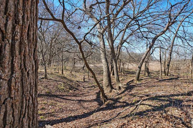 Grandview, TX 76050,TBD Lot 19 County Road 102