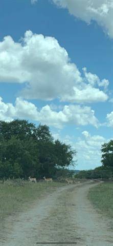 Kempner, TX 76539,000 Bluff View Road