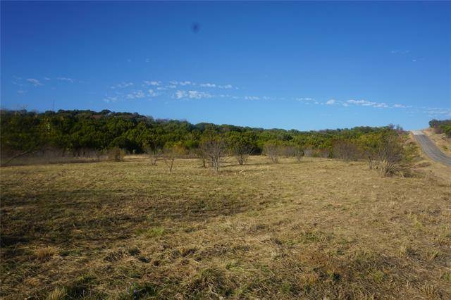 Possum Kingdom Lake, TX 76449,Lot 216 Firewheel