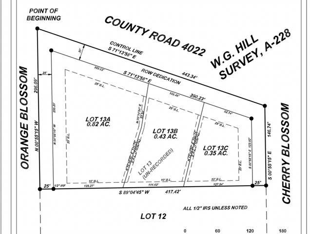 Kemp, TX 75143,TBD Orange Blossom