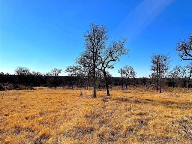 Perrin, TX 76486,TBD B Reed Road