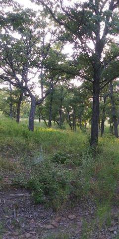 Runaway Bay, TX 76426,Lot 27 Jim Walter Drive