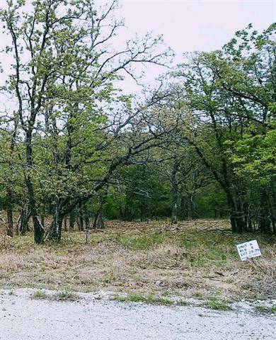 Runaway Bay, TX 76426,Lot 28 Jim Walter Drive